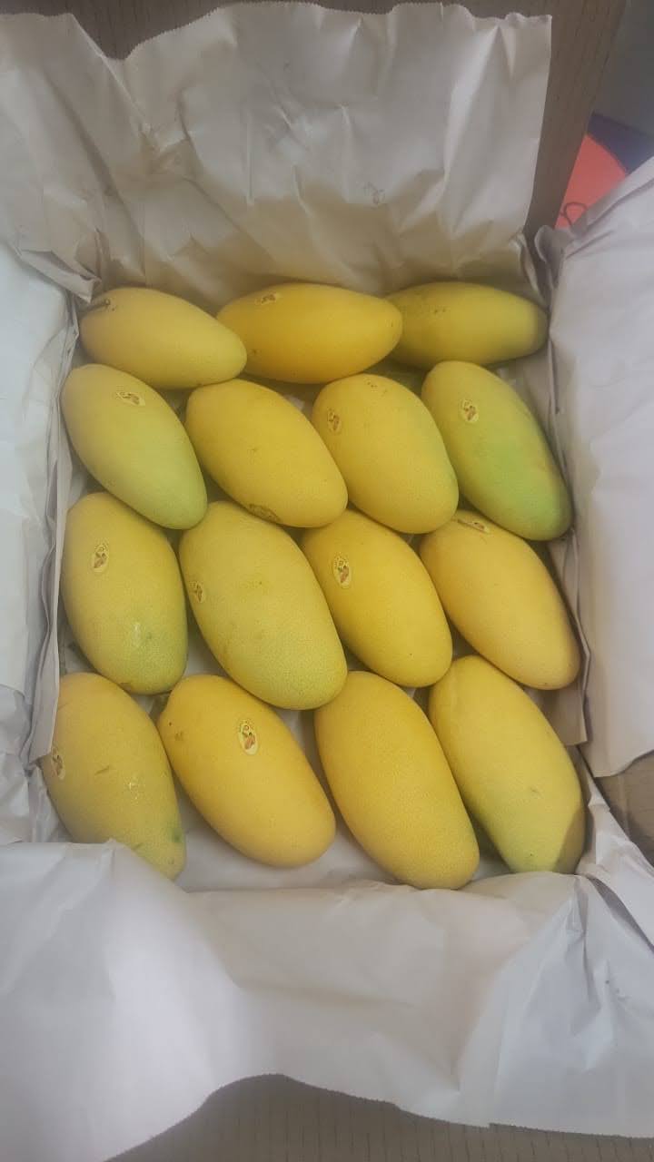 Golden Dasheri (4kg)