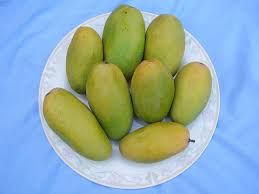 Dasheri Mango(4kg)
